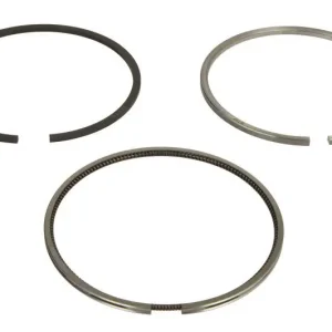 Pierścienie tłokowe (100mm (STD) 3,5-2,5-4) pasuje do NISSAN 1004.40T, 1004.40TW, 1004.4T, 1006.6T, 1006E-6TW, T4.40CC, T6.60CC pasuje do RVI MIDLINER, NISSAN ATLEON, ECO-T B4-40Ti-T4.40CC 01.90- Oferta