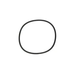Oferta limitowana Uszczelka kompresora (119,4x3,1mm) pasuje do RVI MIDLUM, PREMIUM 2, VOLVO 8700, B7, FE, FE II, FL II, FL III D7E240-DXi7 01.98-
